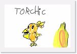torchic * 600 x 400 * (20KB)