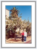 california024 * 20 Ian 2001 - San Diego
Pomi infloriti in ianuarie...imagine descriptiva a iernii californiene... * 1595 x 2309 * (2.34MB)